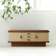 Wooden cabinet with a plant on a white background